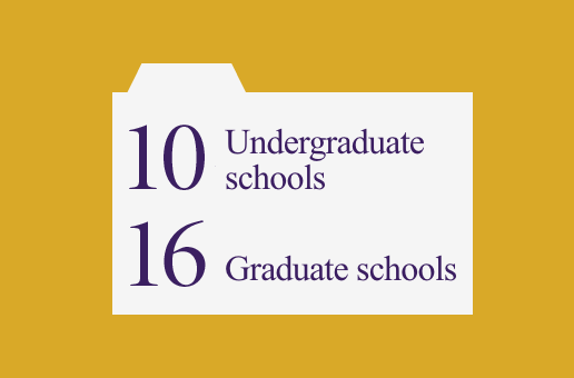 10 Undergraduate und 16 Graduate Schools