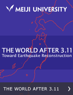The World After 3.11