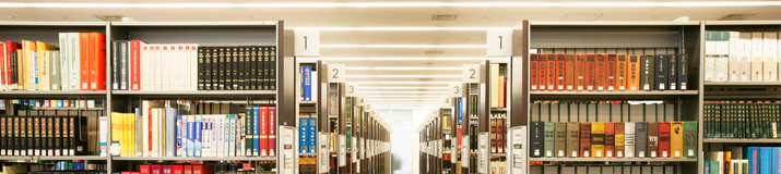 Graduate School of Governance Studies