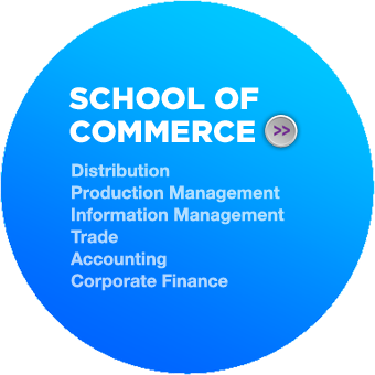 Distribution, Production Management, Information Management, Trade, Accounting, Corporate Finance