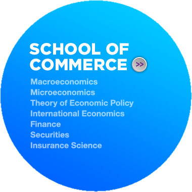 Macroeconomics, Microeconomics, Theory of Economic Policy, International Economics, Finance, Securities, Insurance Science