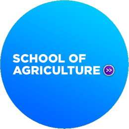 SCHOOL OF AGRICULTURE