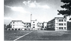 ��У������1881�꣨����14�꣩