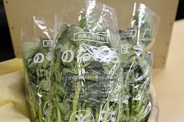 川崎の伝統野菜「のらぼう菜」