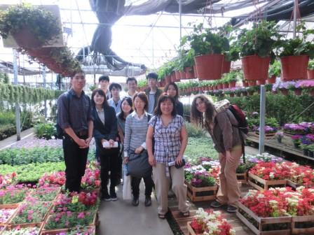 写真4：日系人移住地の花卉市場Mercoflorにて