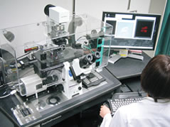 セクショニング蛍光顕微鏡