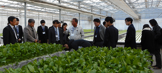  農場の施設見学風景