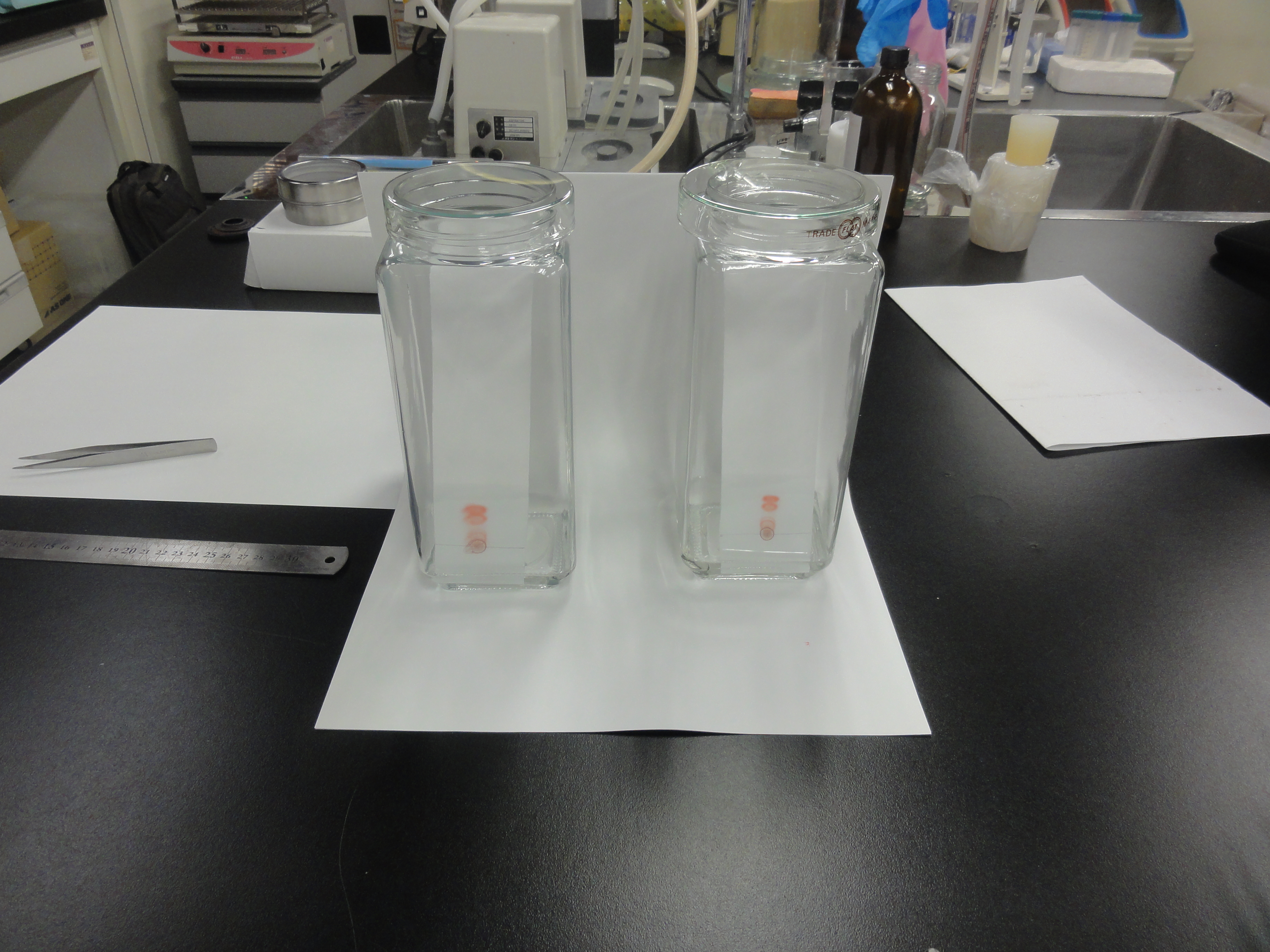 写真３　課題１