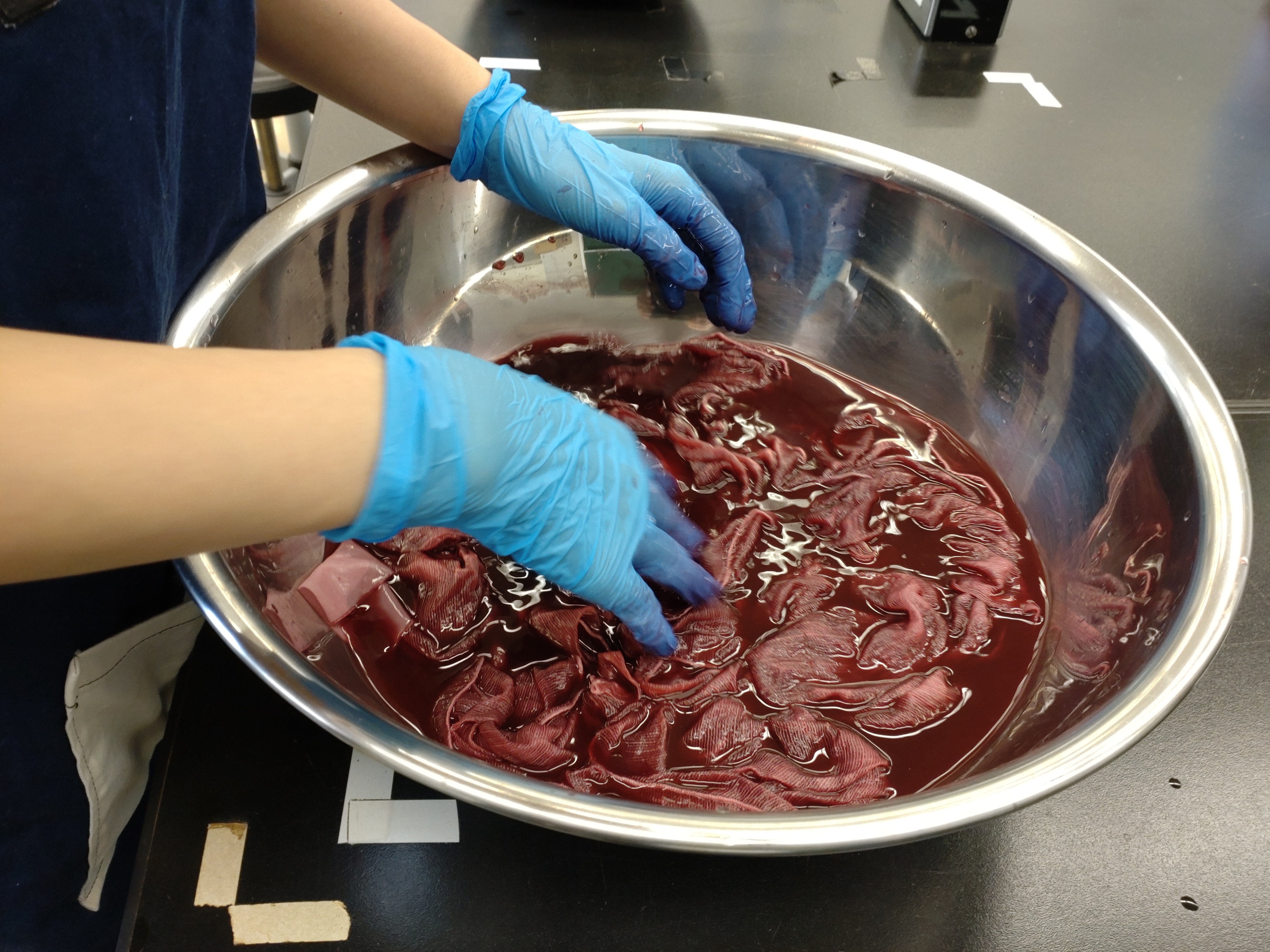 写真４　課題２