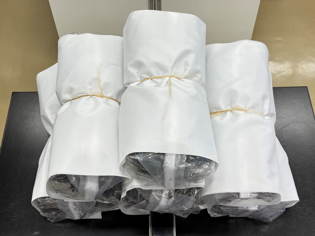 写真４　奉納用乾燥紫根10 kg