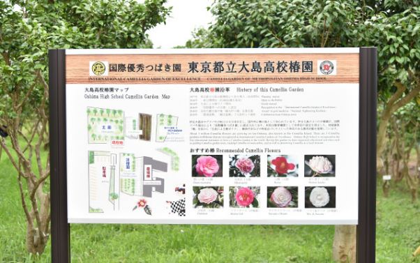 国際優秀つばき園　東京都立大島高等学校