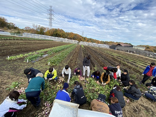 2019年度農場実習の様子