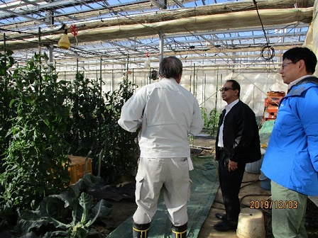 （写真1）小沢特任教授から養液土耕システムの説明を受けるメディナ博士