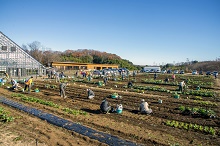 有機圃場で行われているアグリサイエンス講座の様子