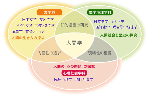 明治大学 文学部 文学部概要 設置学科 コース組織図