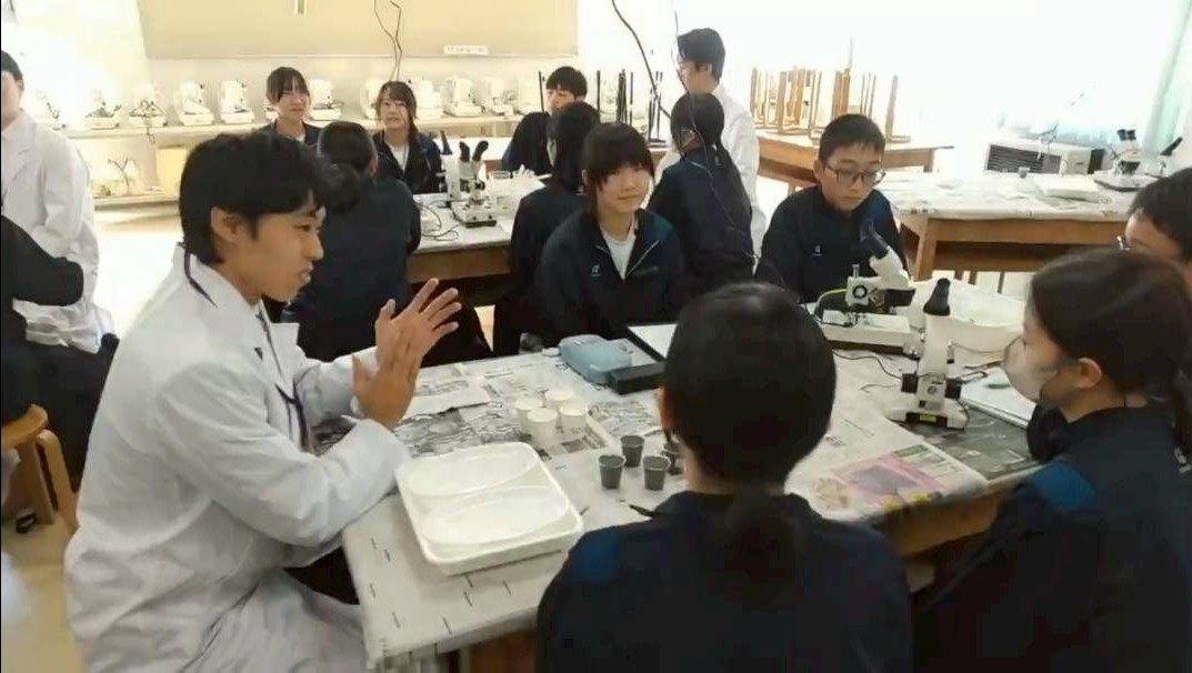 グループに分かれて実験