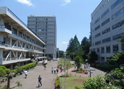 ikuta image