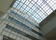 ikuta image