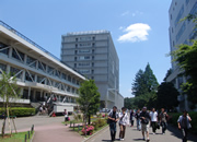 ikuta image