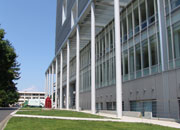 ikuta image