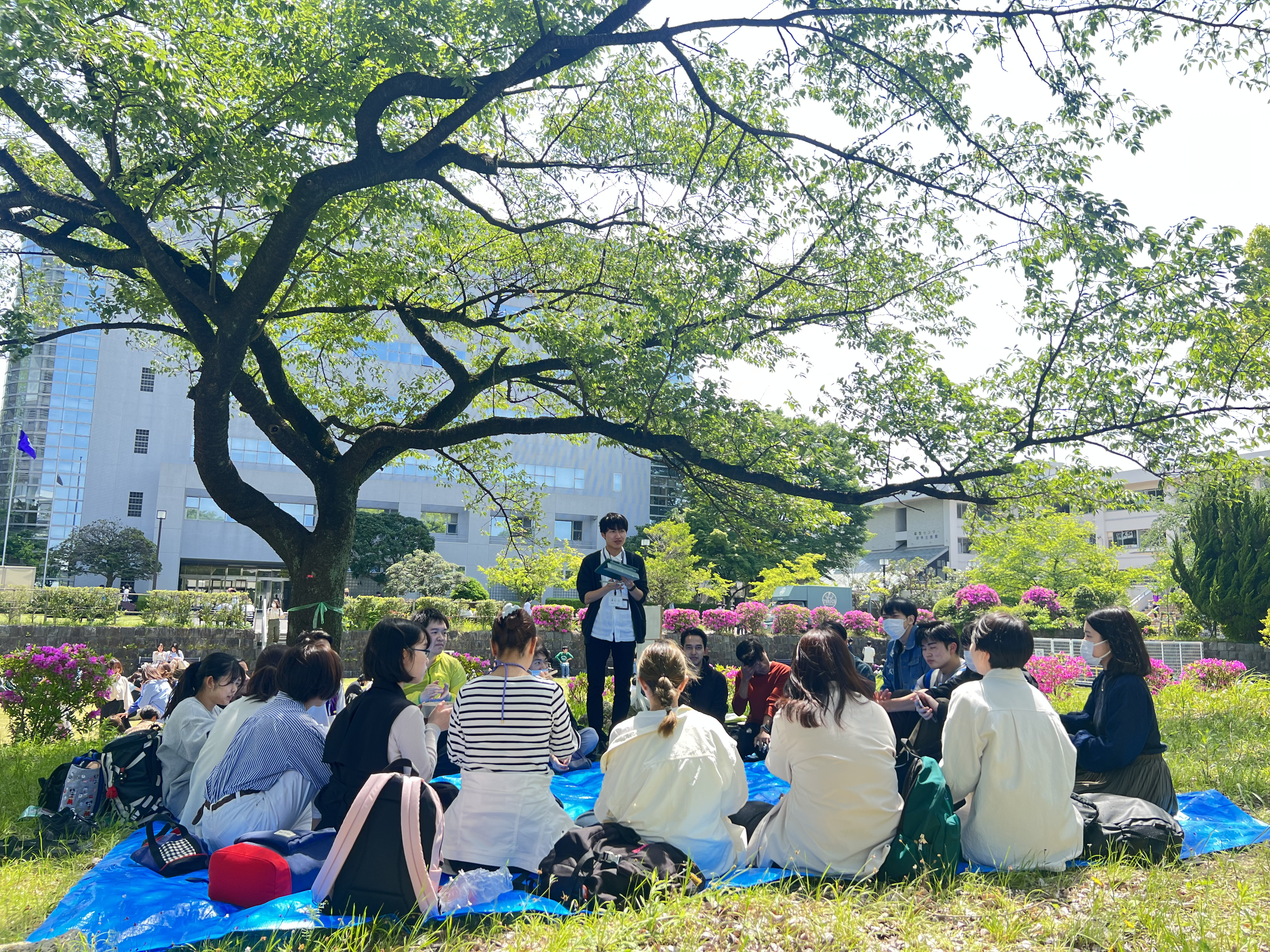 Picnic Photo