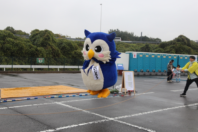 [12:20 p.m., Nov. 18] A succeeding attempt in the 1-minute big jump-rope event. Meijiro stunned the crowd with its ability to jump much better than anyone expected judging from the way it looks. It scored 16 jumps!