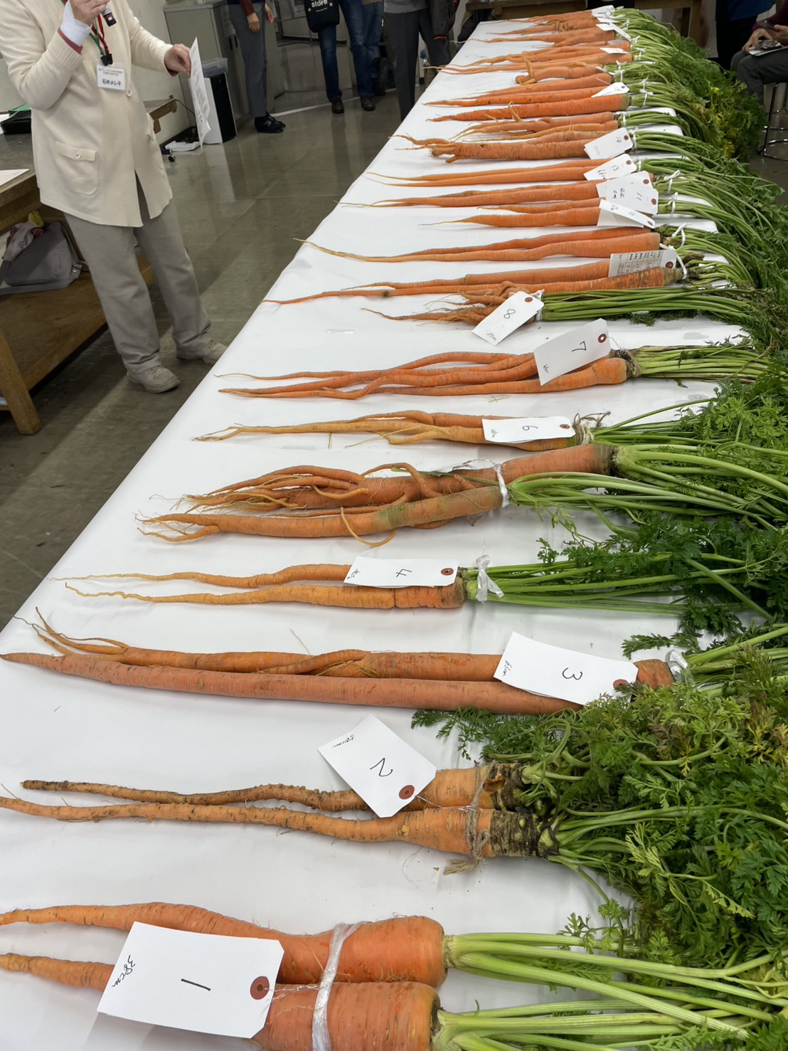 At the Carrot Exhibition<br/>
<br/>