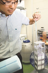 Various knockout cells are cryopreserved (Dr. Watanabe, Specially Appointed Lecturer holding a container)