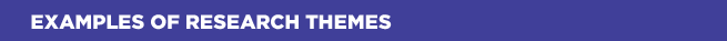 EXAMPLES OF RESEARCH THEMES