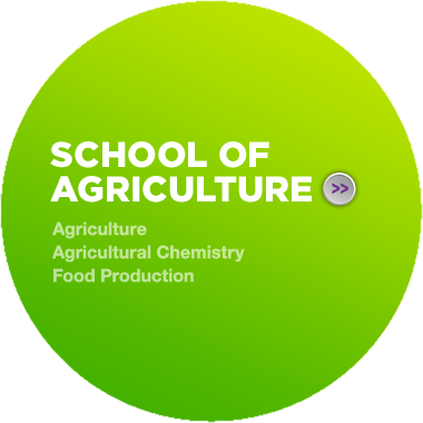 Agriculture, Agricultural Chemistry, Food Production