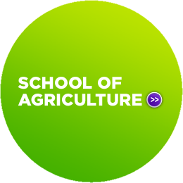 SCHOOL OF AGRICULTURE