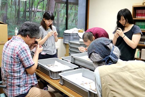 平出博物館での向陽台遺跡出土資料の検討の様子