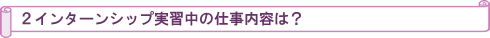 インターンシップ実習中の仕事内容は?