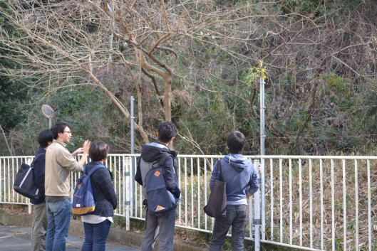 こなら学舎里山班のフィールド生田坂（生田キャンパス）