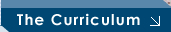 curriculum