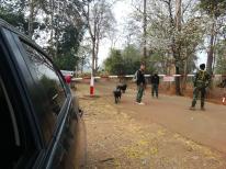 タイ・ミャンマー国境を警備するタイ兵士と番犬。狂犬病のイヌは国境を越えてやってくる