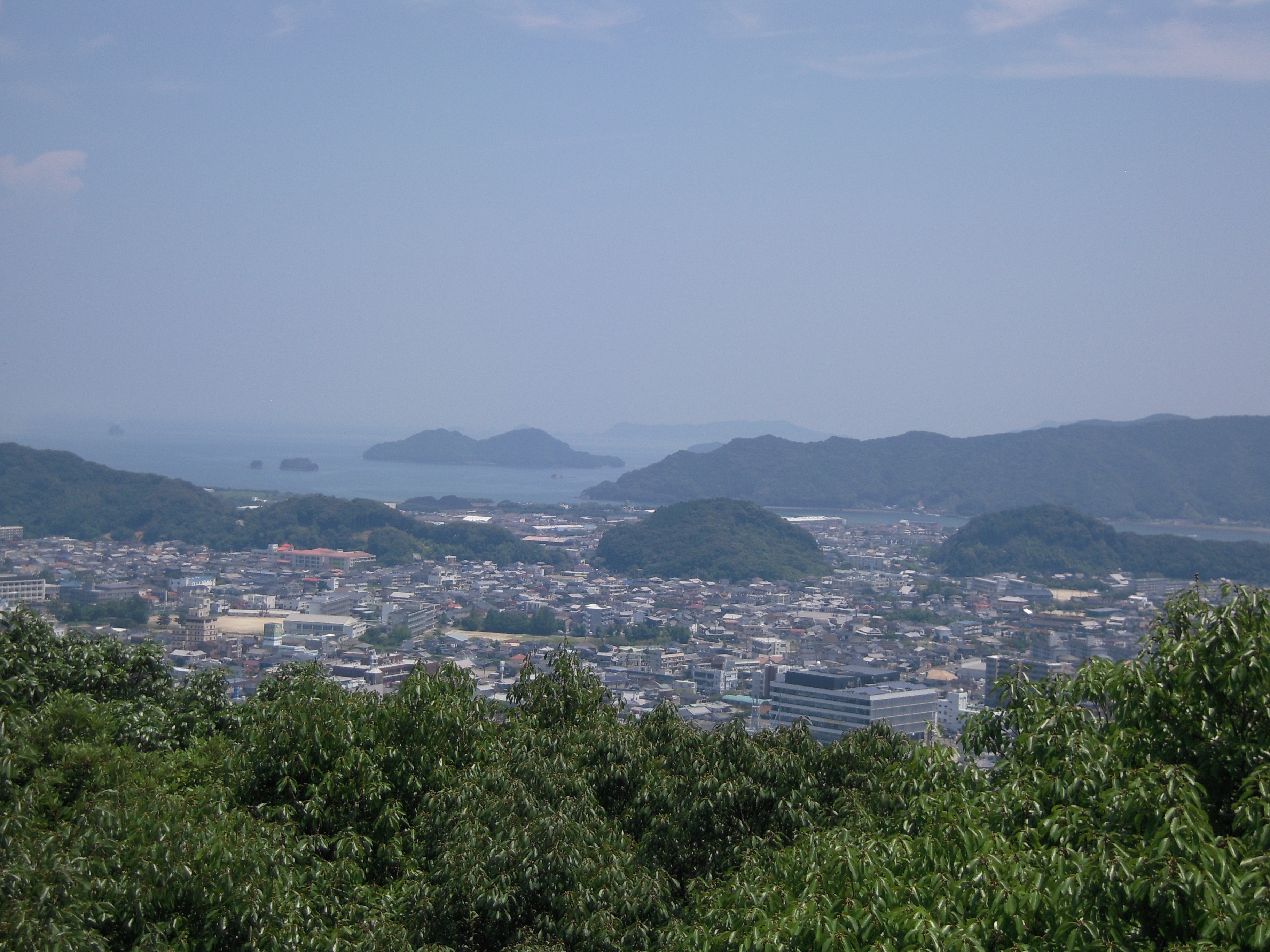 城山から豊後水道を望む