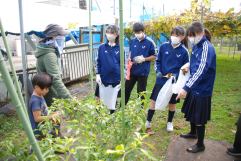 中2 調布・三鷹探究フィールドワーク