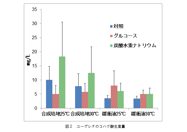 嫌気培養3日後の細胞外コハク酸量を測定した結果、温度に関係なく、合成培地の方が緩衝液よりも多くコハク酸が検出されました。100 mM グルコースの添加により、コハク酸量は合成培地では減少したのに対し、緩衝液では増加しました。100mM炭酸水素ナトリウムの添加では合成培地、緩衝液に関わらず、コハク酸量が増加しました。