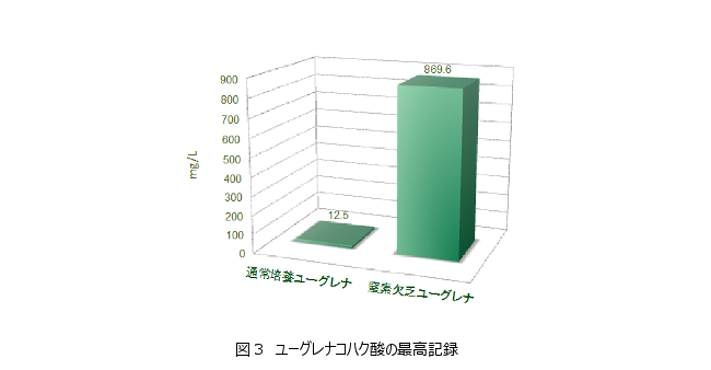 ２５℃、CM培地において、明・好気条件下で１１日間窒素欠乏状態にしたユーグレナを暗・嫌気条件に移行したところ、3日後の細胞外コハク酸量は通常培養条件と比べて約70倍の869.6mg/Lに達しました。明・好条件下においてユーグレナは貯蔵多糖であるパラミロンを蓄積し、窒素が欠乏すると蓄積量は増加することが知られています。このことから、コハク酸生産量の増大は、ユーグレナのパラミロン蓄積量の増大に起因するものと考えられます。