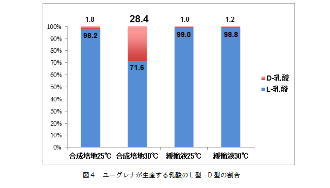 乳酸は不斉炭素原子を有しており、D-型とL-型の光学異性体が存在します。ユーグレナが産生する乳酸は、ほとんどの条件で98%以上L-乳酸でした。しかし、合成培地において30℃で嫌気培養した条件ではD-乳酸の割合が28.4%まで増加しました。