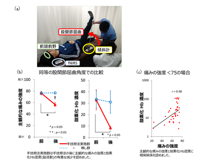 図 （a）実験の様子 （b）手技療法前後で被験者が感じた痛み強度と前頭前野の活動強度（酸素化Hb濃度）の推移 （c）痛みの強度と前頭前野活動との相関グラフ