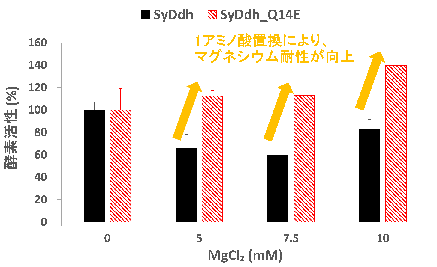 図2.SyDdhのマグネシウムに対する感受性 ／ 縦軸は酵素活性の相対値。塩化マグネシウム（MgCl₂）存在下で、SyDdhは活性が低下しますが、14番目のアミノ酸をグルタミン酸に置換したSyDdh_Q14Eでは活性が向上します。