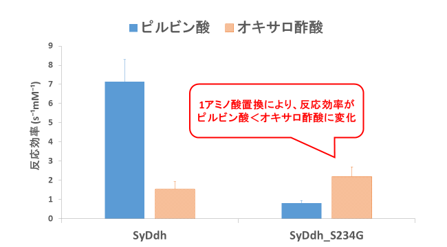 図3.SyDdhのピルビン酸、オキサロ酢酸に対する反応効率 ／ 縦軸はピルビン酸、オキサロ酢酸に対する反応効率。反応効率は基質を生成物に変換する効率を表します。SyDdhはオキサロ酢酸よりもピルビン酸に対して高い反応効率を示します。対照的に、234番目のアミノ酸をグリシンに置換したSyDdh_S234Gではピルビン酸よりもオキサロ酢酸に対して高い反応効率を示します。