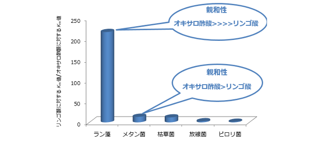 アルデヒド脱水素酵素