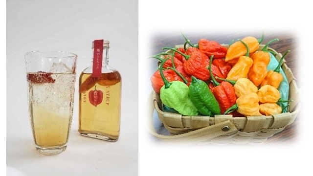 明大生が川崎市の食材を使った新商品を提案！～食と農をつなぐゼミの