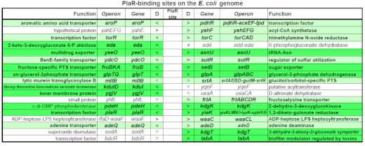 図1．本研究グループにより独自に開発されたGenomic SELEX法を用いて同定されたPlaRのゲノム上結合領域および支配下遺伝子群の機能