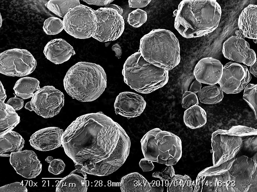 図2：楕円体状のマイクロドロマイト結晶：マイクロドロマイトの電子顕微鏡写真。直径約30ミクロン。