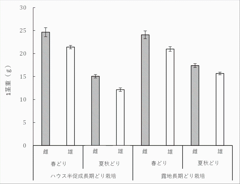 ムラサキアスパラガスの1茎重の雌雄間差