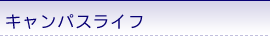 LpXCt